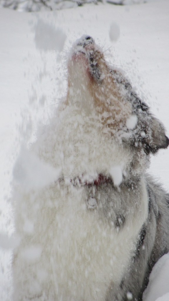 Herbal Essences Commercial?