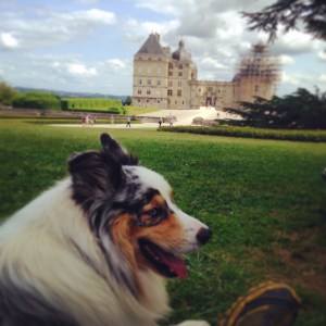 Château de Hautefort